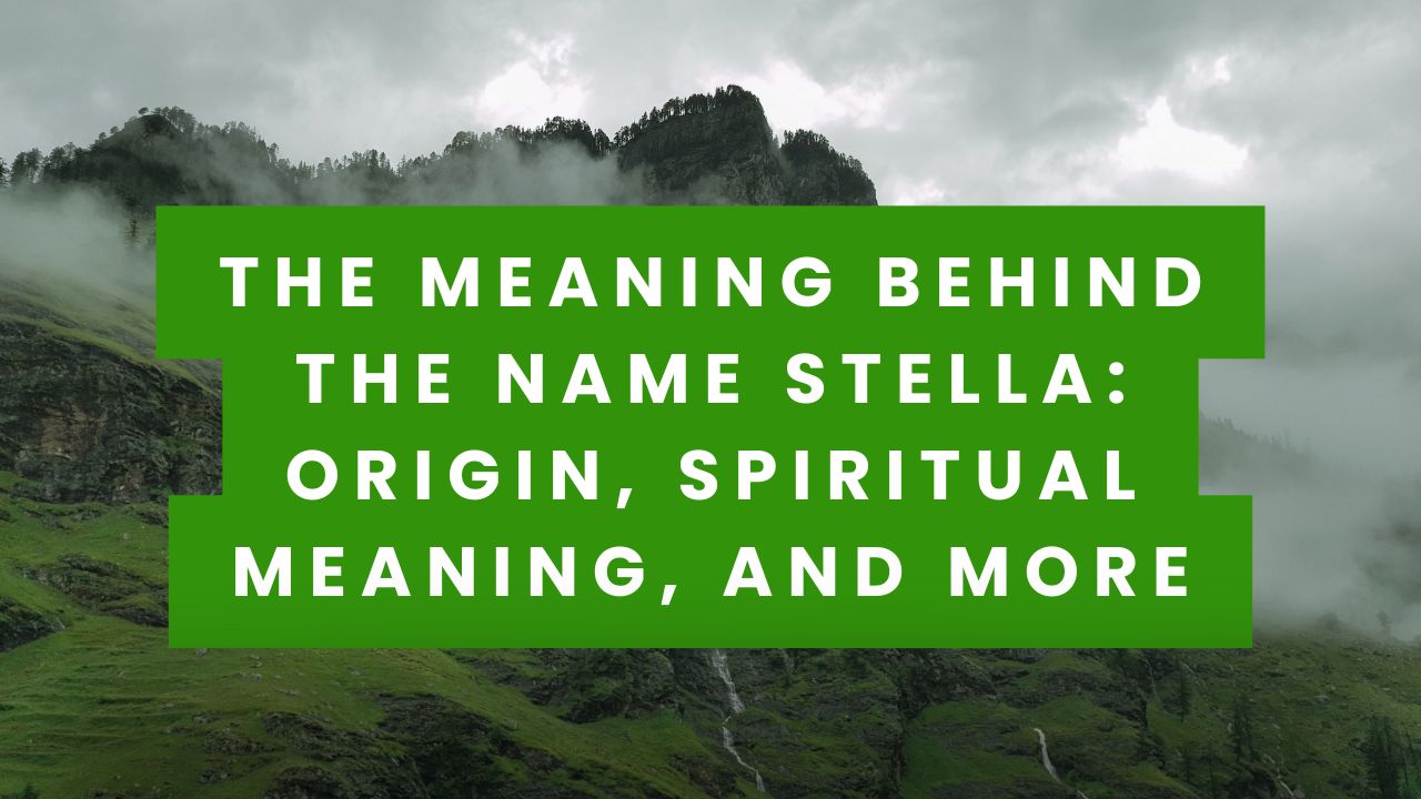 stella name meaning