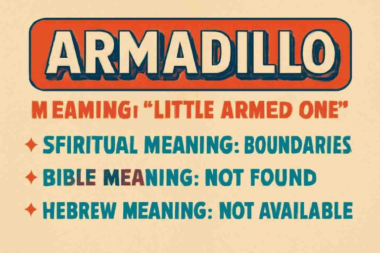 Armadillo name meaning