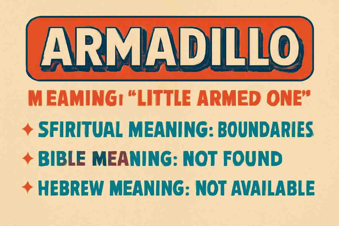 Armadillo name meaning