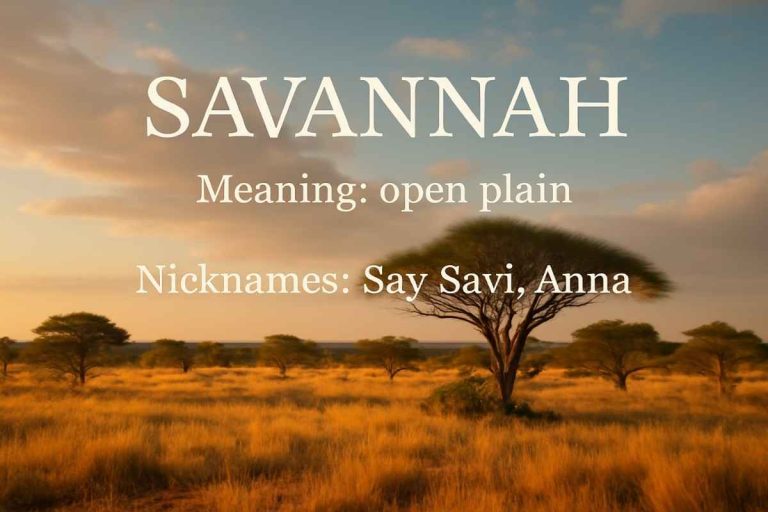Savannah Name Meaning, Origins, Nicknames, and Spiritual Significance