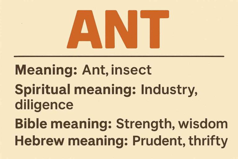 The Name Ant: Meaning, Origins, Spiritual Symbolism, and 20 Nicknames Explained