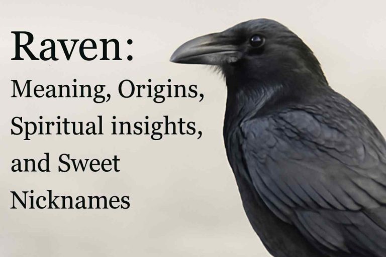 raven meaning