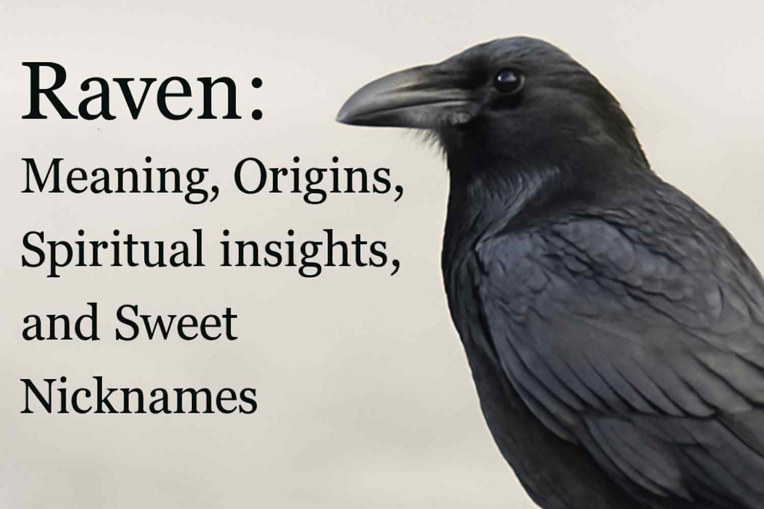 raven meaning